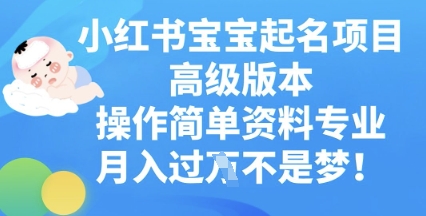 小红书宝宝起名项目高级版本,操作简单,资料专业,月入过W-超哥轻创社