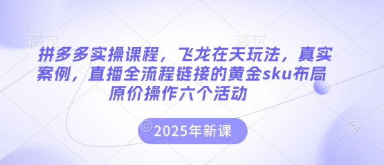 拼多多实操课程,飞龙在天玩法,真实案例,直播全流程链接的黄金sku布局原价操作六个活动-超哥轻创社