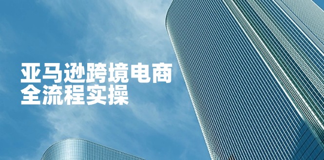(14252期)亚马逊跨境电商全流程实操,教你从零开始,掌握店铺运营与广告技巧-超哥轻创社