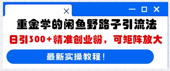 重金学的闲鱼野路子引流法,日引300+精准创业粉,可矩阵放大-超哥轻创社