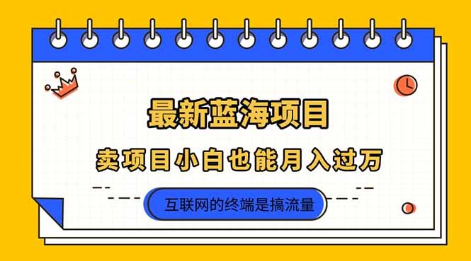 (14289期)2025年最新蓝海项目,卖项目小白也能月入过万-超哥轻创社