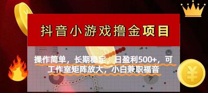 (14290期)【抖音小游戏发行人计划项目】操作简单,长期稳定,日盈利500+,可工作...-超哥轻创社