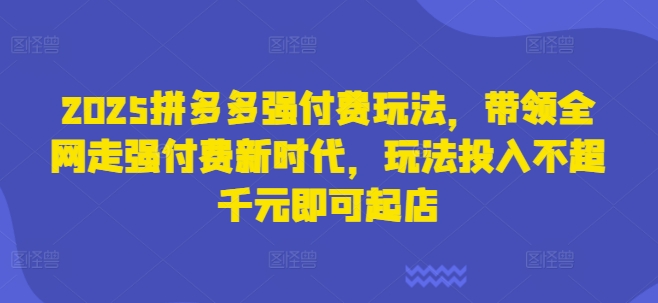 2025拼多多强付费玩法,带领全网走强付费新时代,玩法投入不超千元即可起店-超哥轻创社