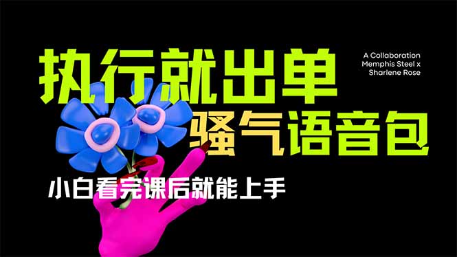 (14170期)爆火全网的开车导航骚气语音包,只要执行就出单,小白看完课程就能实操...-超哥轻创社