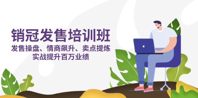 (14203期)销冠 发售培训班:发售 操盘+情商 飙升+卖点 提炼,实战提升百万业绩-超哥轻创社