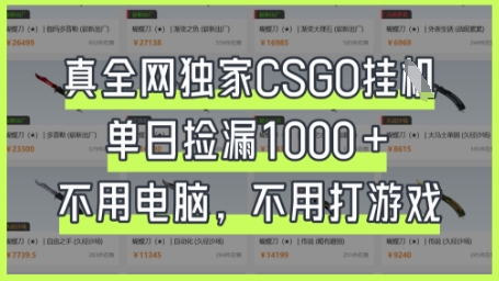 真全网独家CSGO挂G,单日捡漏1k+【揭秘】-超哥轻创社